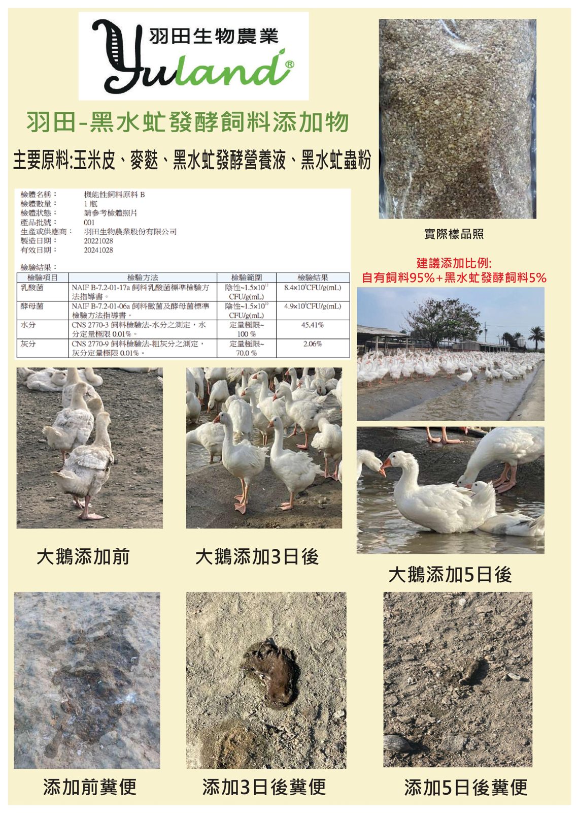 發酵飼料宣傳單